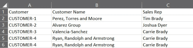 Example of the customer details data copied into Excel.