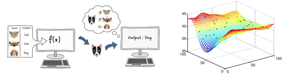 Figure 1. Examples of supervised learning task (LEFT) a machine learns how to identify a cat from labeled data of pictures of cats and dogs. supervised classification task. on the right is a response surface or curve fitting, an example of supervised regression