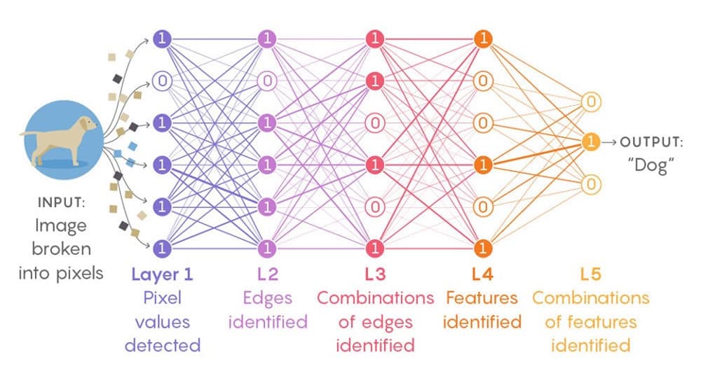 Figure 3. Diagram shows a visual demonstration of a deep neural network, applied to an image recognition problem of images, with our classic problem 'is it a cat?'